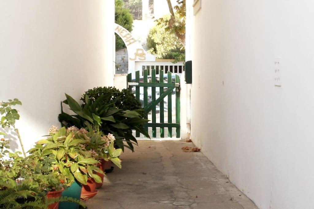 The Green Gate Patio House Nazaré Esterno foto
